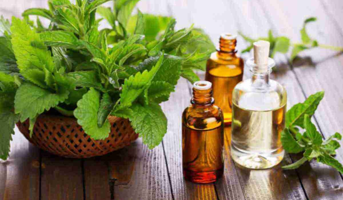Taking the Bite Out of Your Holidays: 3 Great Essential Oils To Get the Job Done