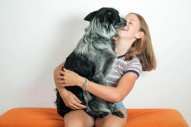 Looking Out For Your Dog’s Emotional Health