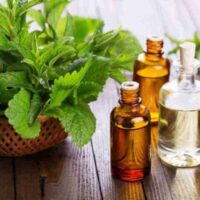 Health Benefits of Peppermint Oil Instead of Gum: 2 Best Food Grade Peppermint Oil Products to Try