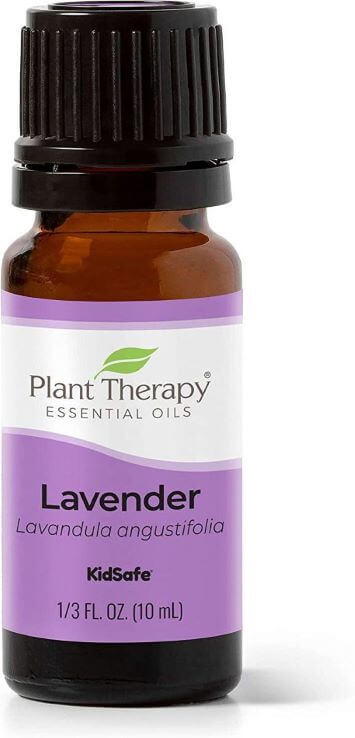 Plant Therapy Lavender Essential Oil 100% Pure