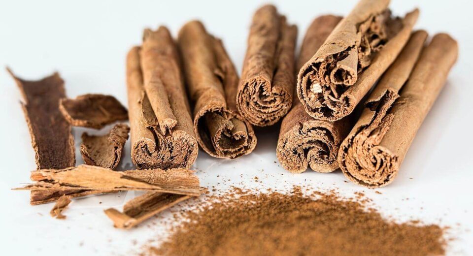 Ceylon Cinnamon vs Cassia: What's the Difference and Why You Should Care Thewellthieone