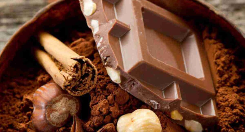What’s So Special About That Mushroom Chocolate Bar? Boost Your Brain With Nootropic Mushrooms