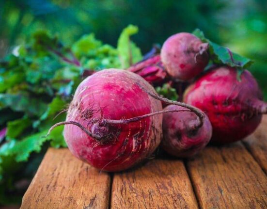 3 Best Beet Supplements to Beat Your Opponents TheWellthieone