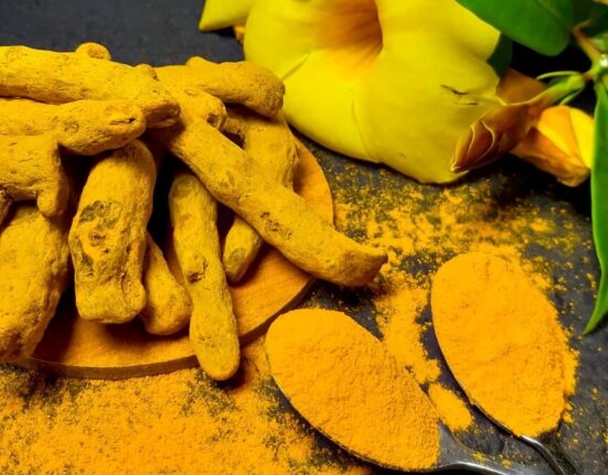 Discover the Immune-Boosting, Blood Sugar-Lowering Magic of Berberine Supplements! TheWellthieone