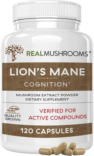 Lions Mane Brain and Focus Supplements TheWellthieone