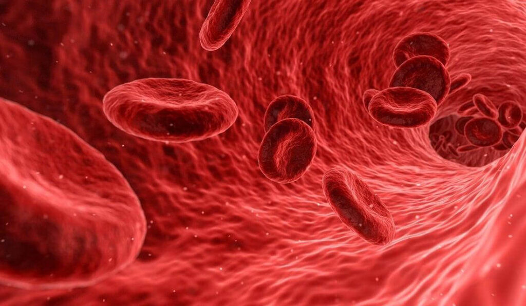 Copper and compression increase blood flow.  Since blood delivers nutrients to areas in need of repair, this results in faster healing. 
