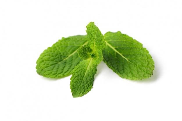 When you are feeling well, peppermint leaves are very pleasant to chew on, and much healthier than gum!