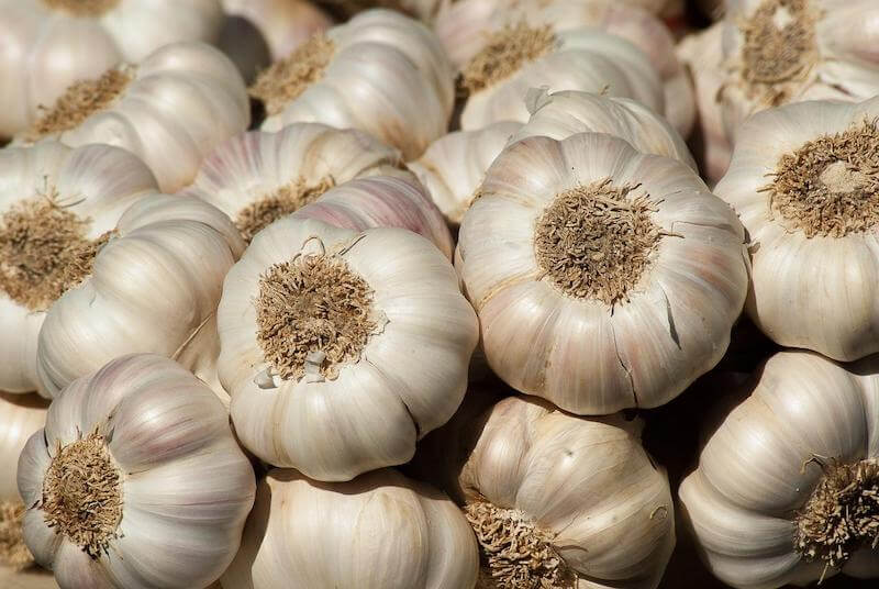 The Garlic extract is sourced from the Allium sativum plant. 