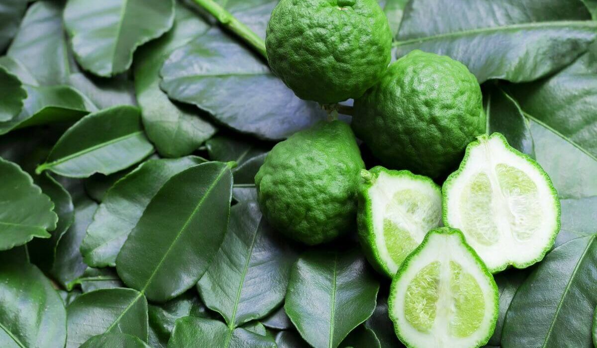 How to Use Lime Leaf, Where to Find It, and 10 Health Benefits