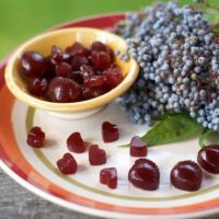 The 3 Best Elderberry Gummies For Kids That They Will Not Forget to Take