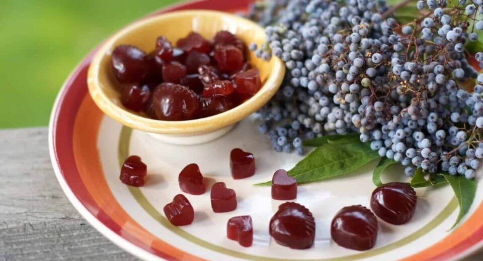 The 3 Best Elderberry Gummies For Kids That They Will Not Forget to Take