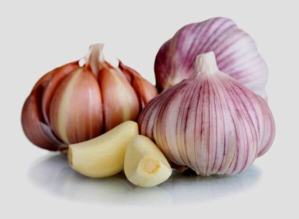 Garlic Bulb Fresh Siberian TheWellthieone