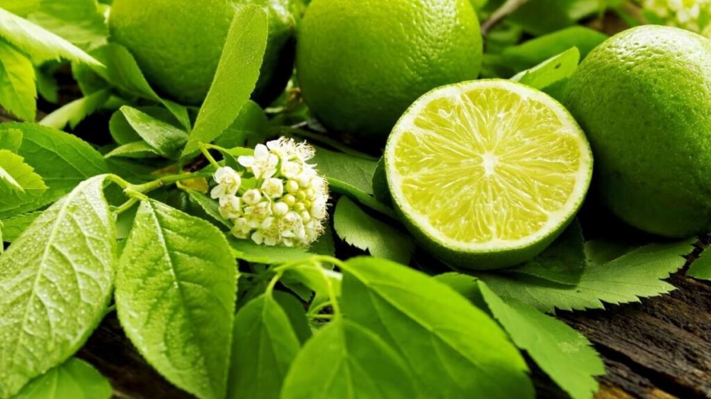 How to Use Lime Leaf, Where to Find It, and 10 Health Benefits