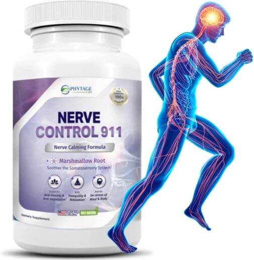 Nerve Control 911 - Natural Plant-Based Nerve Health & Pain Management TheWellthieone