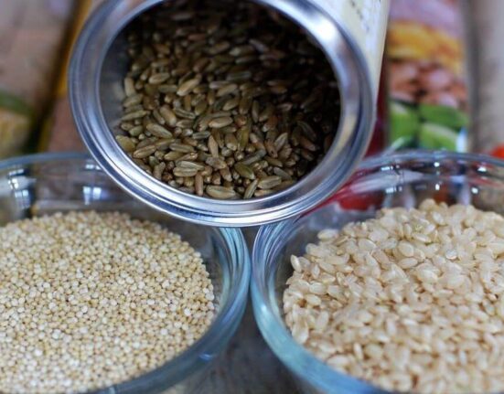 Quinoa Seeds Vs Rice, Which is Better TheWellthieone