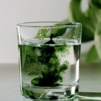 6 Liquid Chlorophyll Benefits & What You Need to Know About Nature’s Miracle TheWellthieone