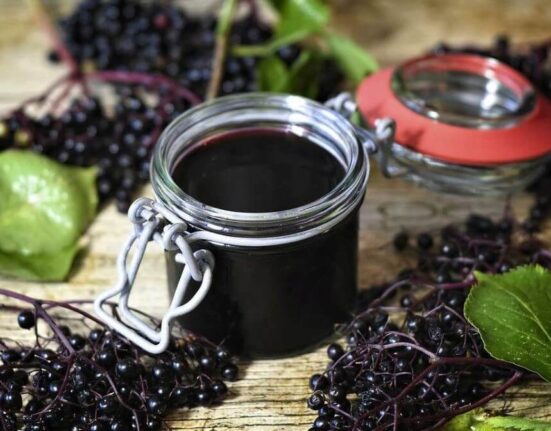 The 3 Best Elderberry Gummies For Kids That They Will Not Forget to Take TheWellthieone