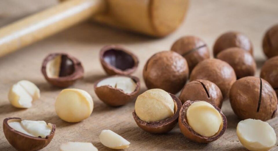 6 Easy Uses for Macadamia Nut Butter, Benefits, & the 3 Best to Buy