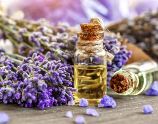 How To Stop Itching From Bug Bites - Lavender Essential Oil Is All you Need! TheWellthieone