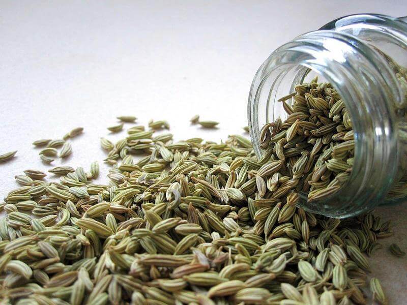 Dried fennel seeds which are ground up or left whole for various different recipes.
