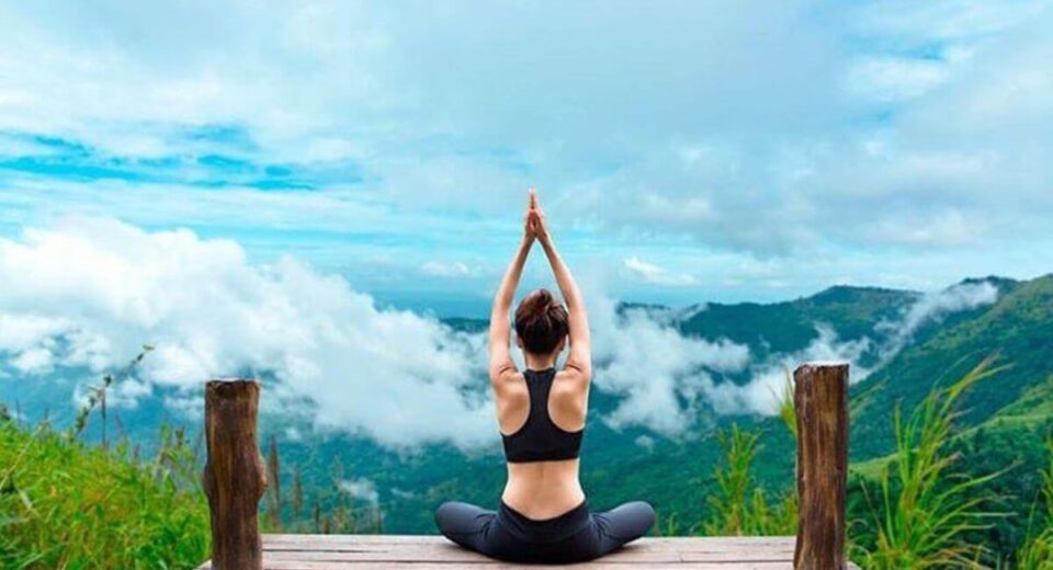 When to Take Ashwagandha and All You Need to Know About Its Stress-Relieving Capacities TheWellthieone