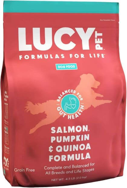 Lucy Pet Formulas for Life Salmon, Pumpkin, & Quinoa Dry Dog Food TheWellthieone