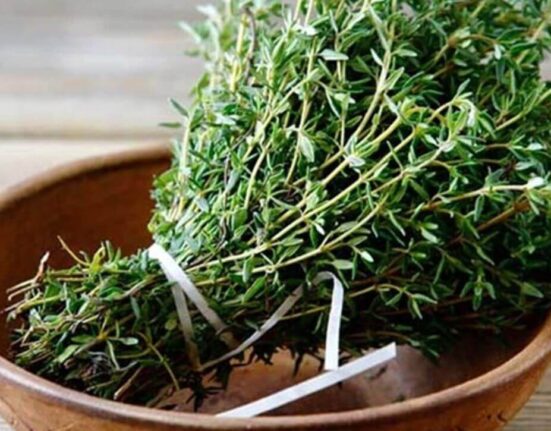 The Wonders of Thyme - Health Benefits and Ways to Use This Herb TheWellthieone