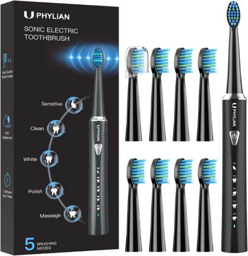 PHYLIAN Sonic Electric Toothbrush for Adults TheWellthieoen
