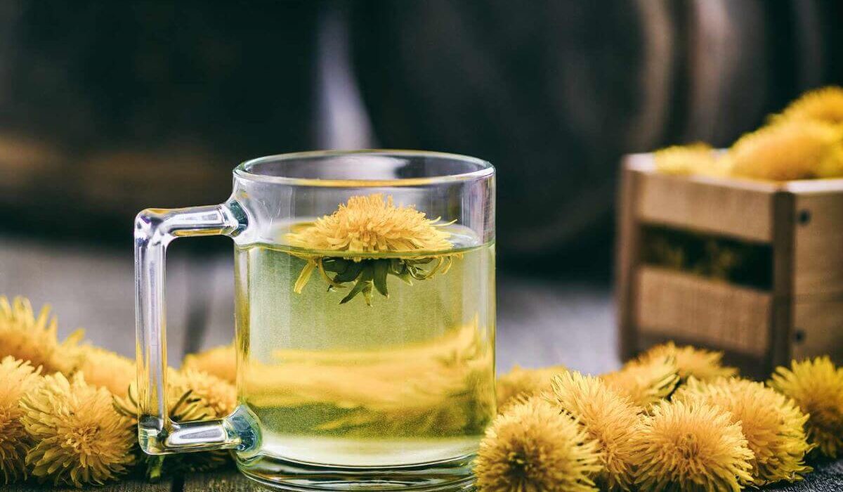 Uplevel Your Health - How to Make Dandelion Tea TheWellthieone