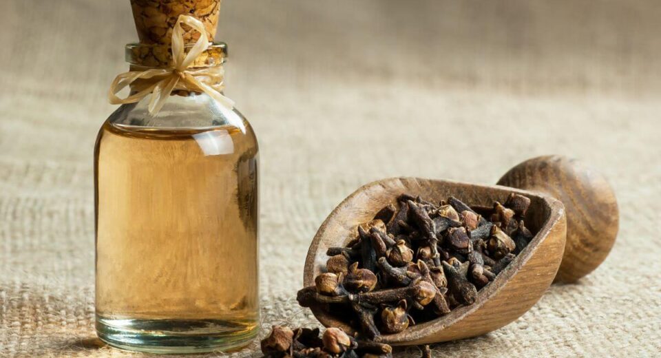 Clove Oil For Teeth - How To Relieve Your Pain Naturally & Safely! TheWellthieone