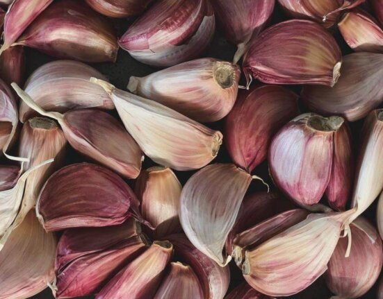 Best Garlic Supplement for High Blood Pressure, Cholesterol & Immunity Thewellthieone