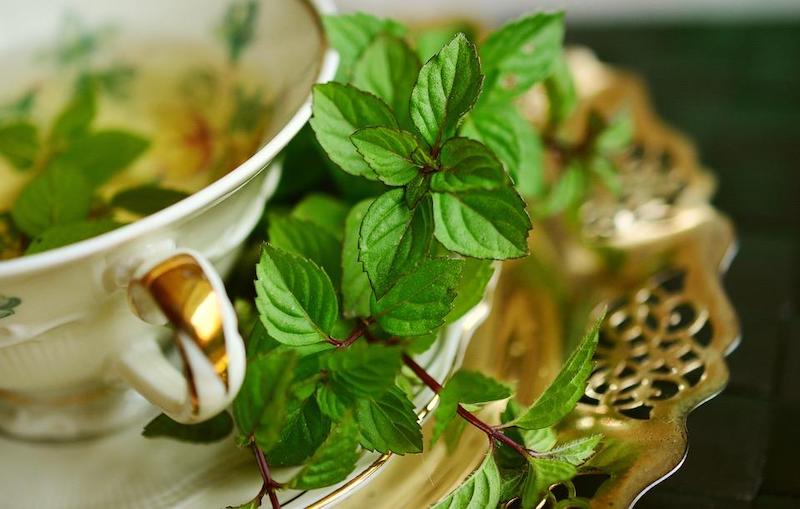 Peppermint oil can help dental hygiene by killing harmful bacteria in the mouth, reducing inflammation, freshening breath and promoting a healthy pH balance.