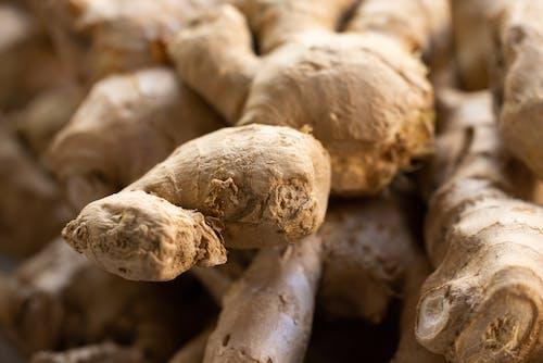 Ginger root grows underground like a rhizome, a type of stem that eventually sprouts shoots and leaves.
