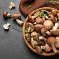 All Your Questions Answered Regarding Shiitake Mushrooms TheWellthieone