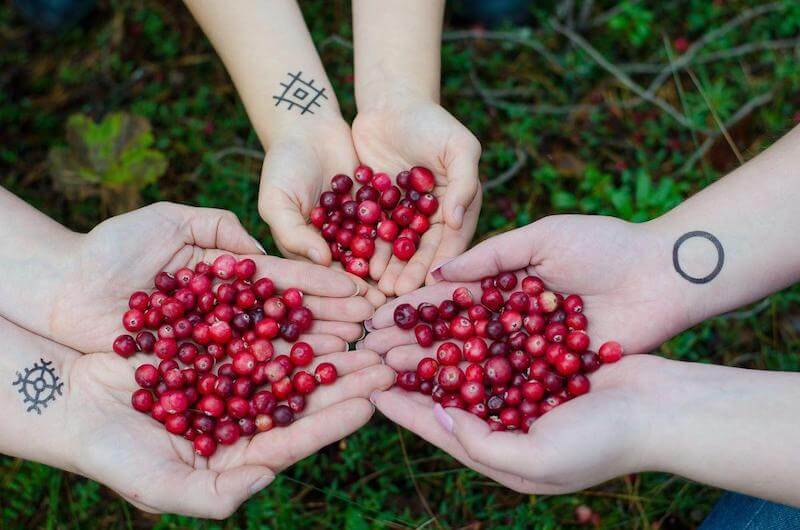 Cranberries can be eaten fresh, or taken in the form of a gummy, pill or capsule.