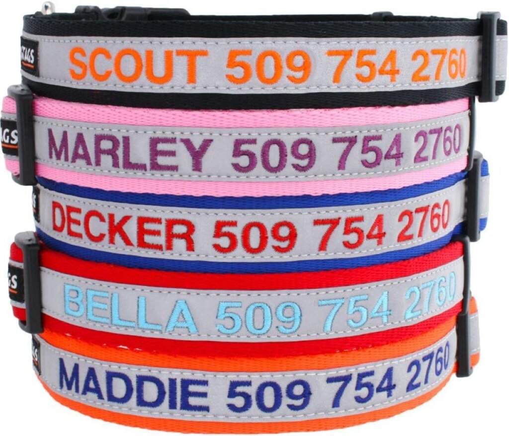 GoTags Reflective Personalized Dog Collar