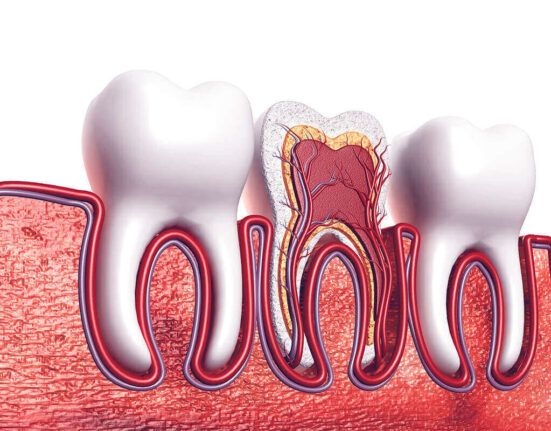 Root Canal Recovery Time - Be Impressed With Your Body’s Ability to Heal! TheWellthieone