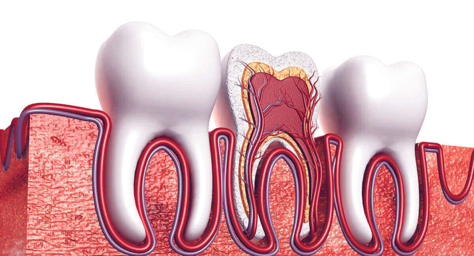 Root Canal Recovery Time - Be Impressed With Your Body’s Ability to Heal! TheWellthieone
