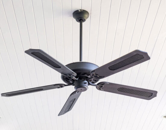 Thinking About A Black Ceiling Fan Modern Style? 5 You’ll Love! TheWellthieone