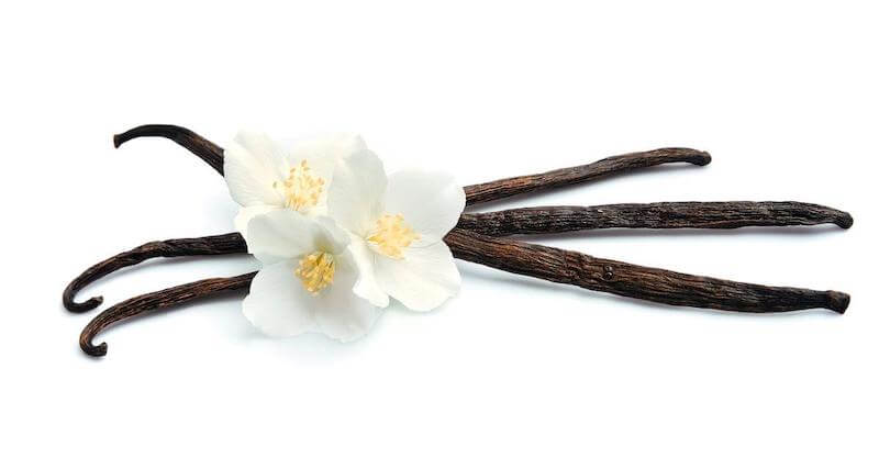 Vanilla beans and pods are naturally brown.  Vanilla sugar is brown because of the mixing of authentic vanilla bean power into the sugar.

