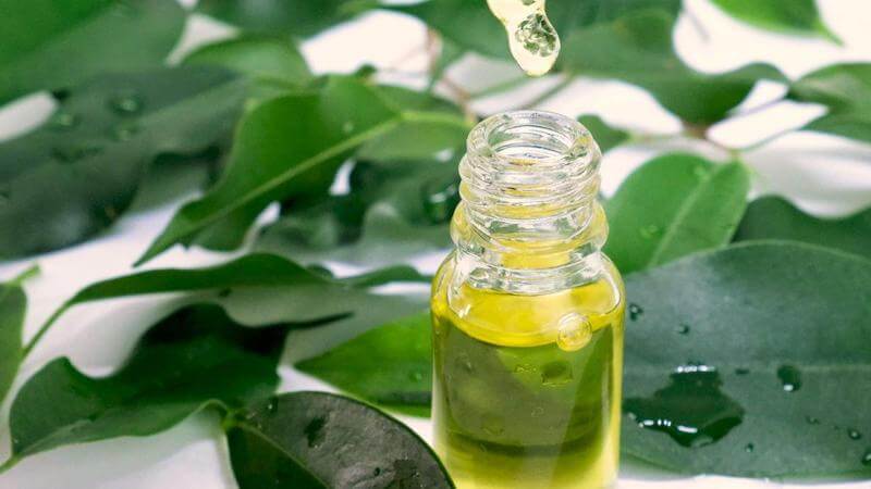 Tea tree oil is antibacterial, antifungal and antiviral, so it is sure to mop up any mess left behind by a stomach bug!