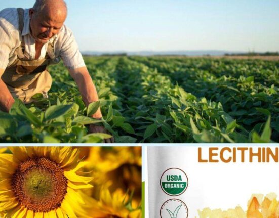 Sunflower Lecithin vs. Soy Lecithin - All Your Questions Answered! TheWellthieone
