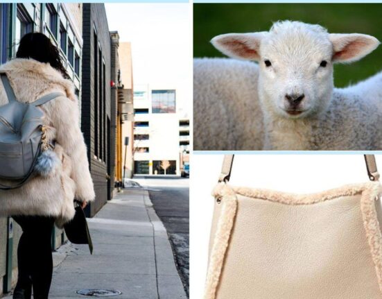 4 Of the Most Sought After & Timeless Shearling Bag Choices On Amazon Thewellthieone