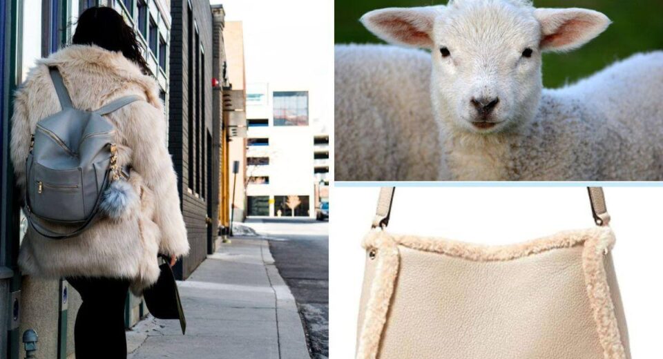 4 Of the Most Sought After & Timeless Shearling Bag Choices On Amazon Thewellthieone