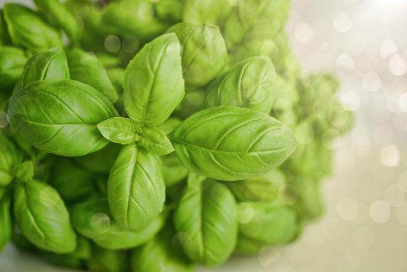 If you want a highly flavorful salad, mixing lots of fresh basil into the bowl will raise delighted eyebrows!  