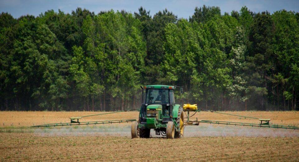 The Shocking Impact of Atrazine Weed Killer on Human Health & How To Avoid It Thewellthieone