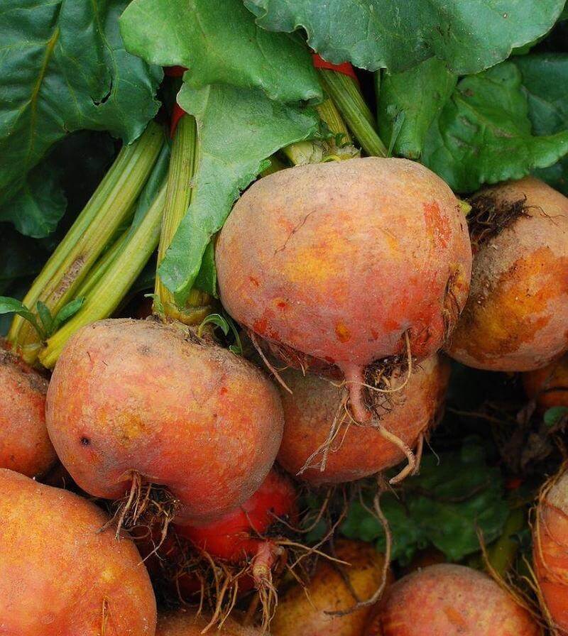 Golden beets come from the carrot family and are slightly sweeter than red beets.  They are super healthy!