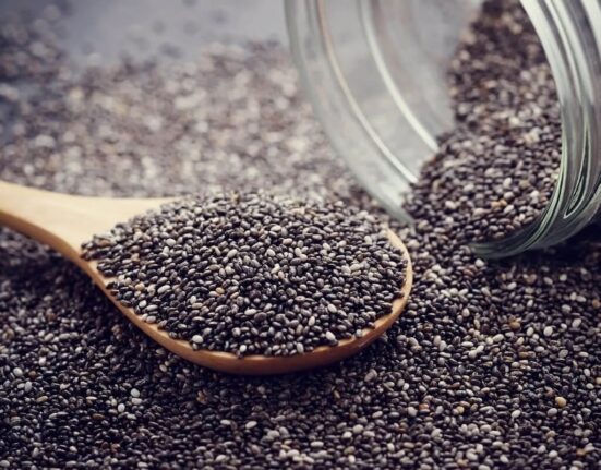 Create Unforgettable Culinary Experiences By Growing Your Own Sprouted Chia Seeds! Thewellthieone