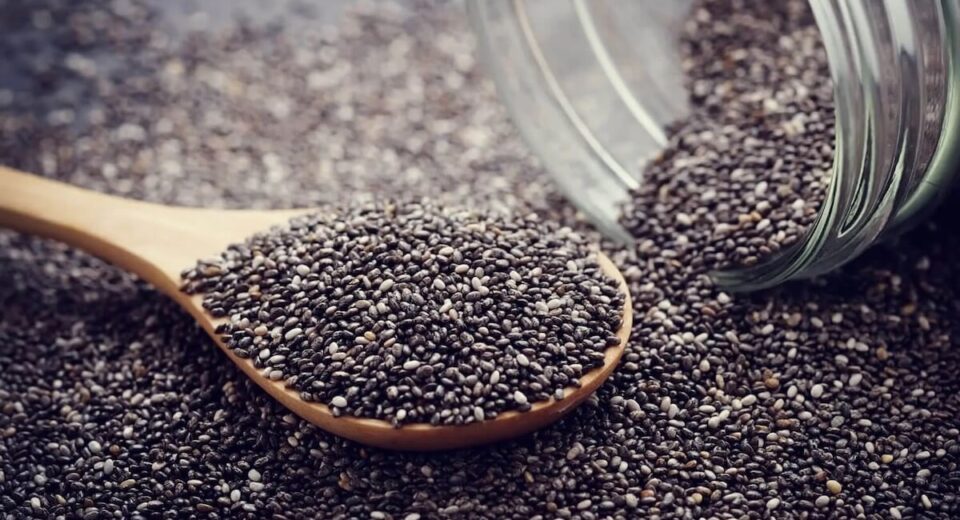 Create Unforgettable Culinary Experiences By Growing Your Own Sprouted Chia Seeds! Thewellthieone