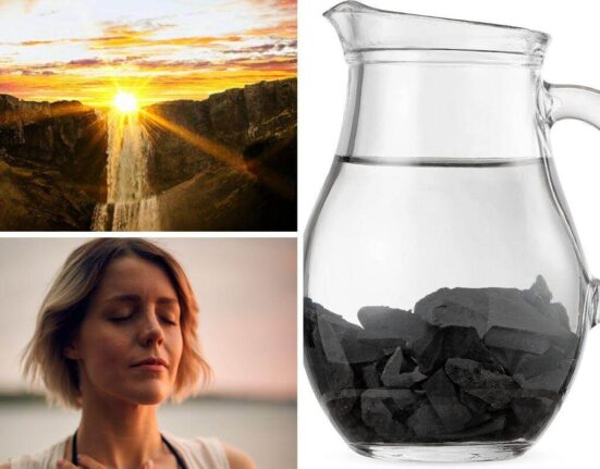 Why You Need to Add Shungite to Your Water & How to Make it Happen! Thewellthieone